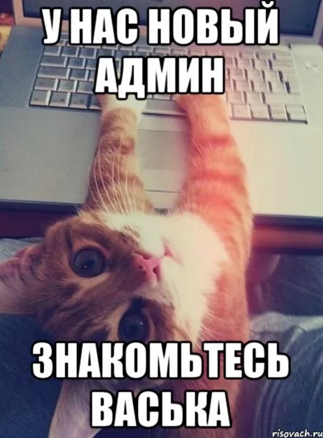 Администратор надпись