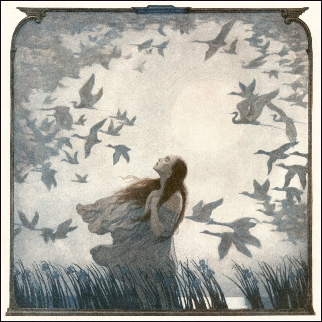 Лебедь в триумфе