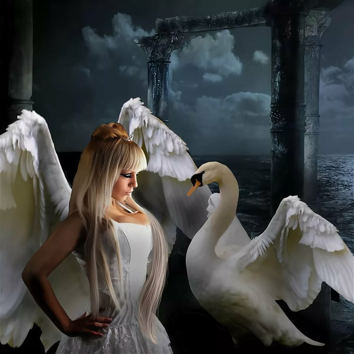 Фотосессия с лебедем