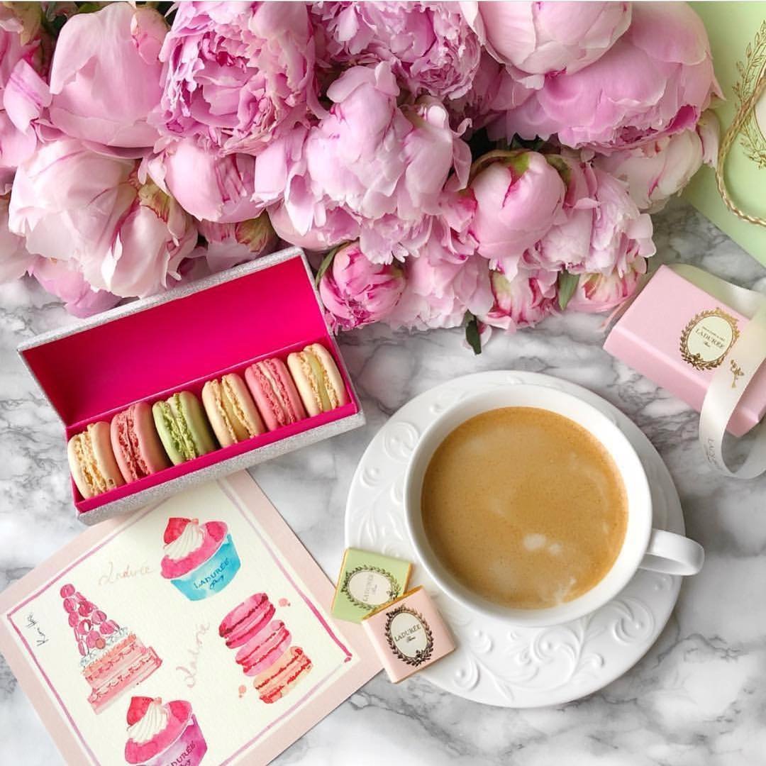 Доброе утро пионы