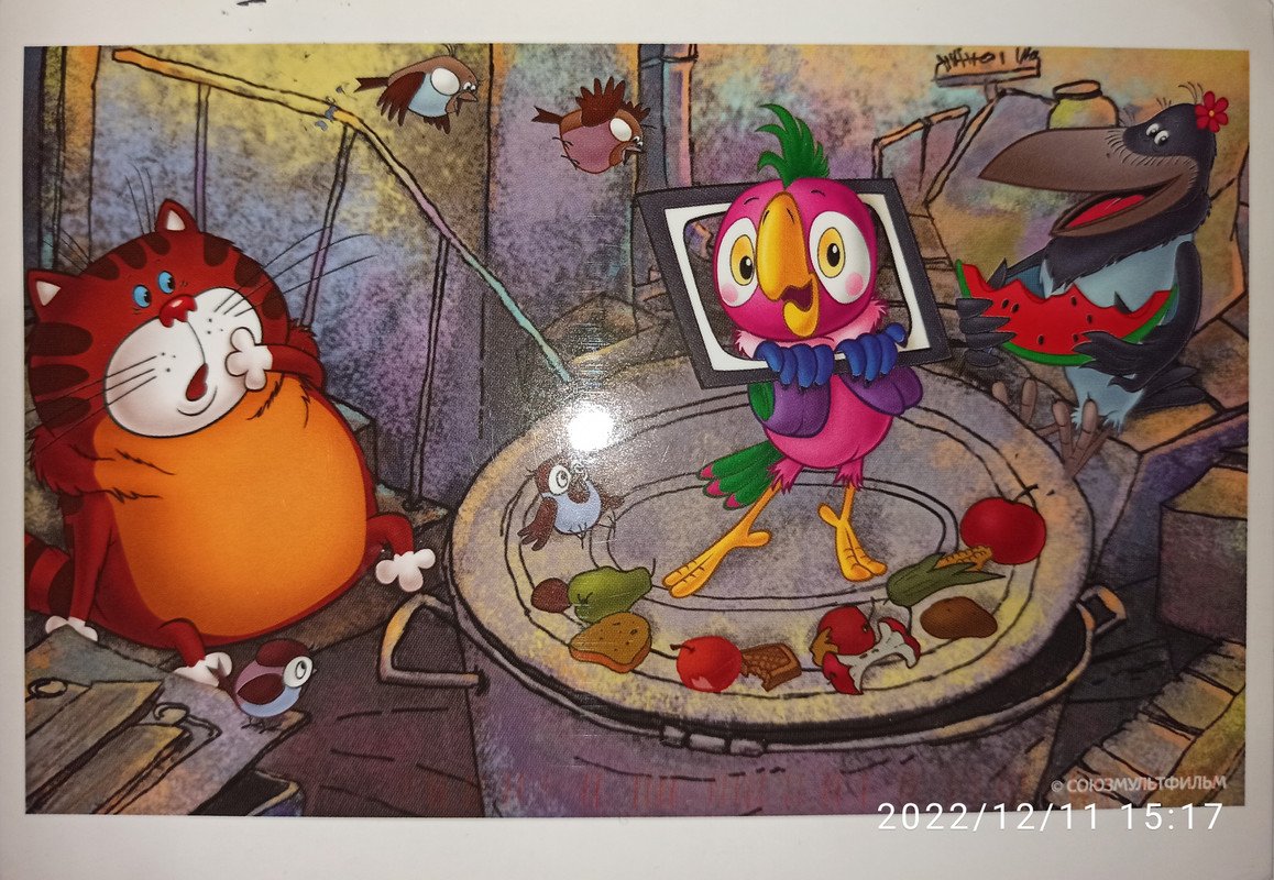 Попугай Кеша кот