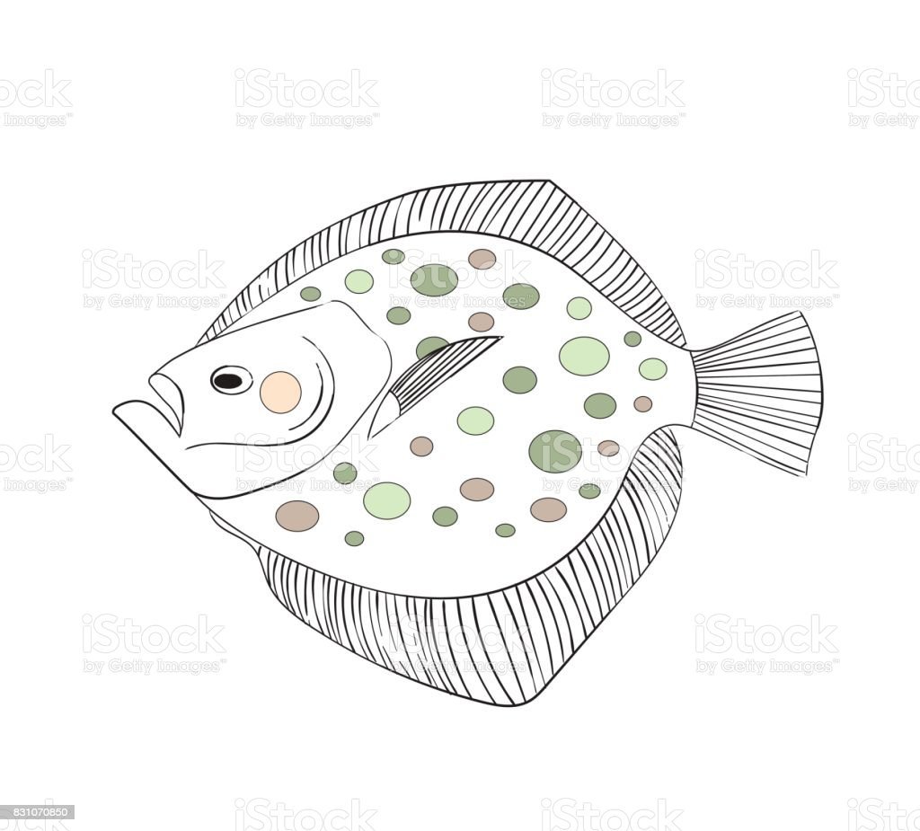 Камбала клипарт