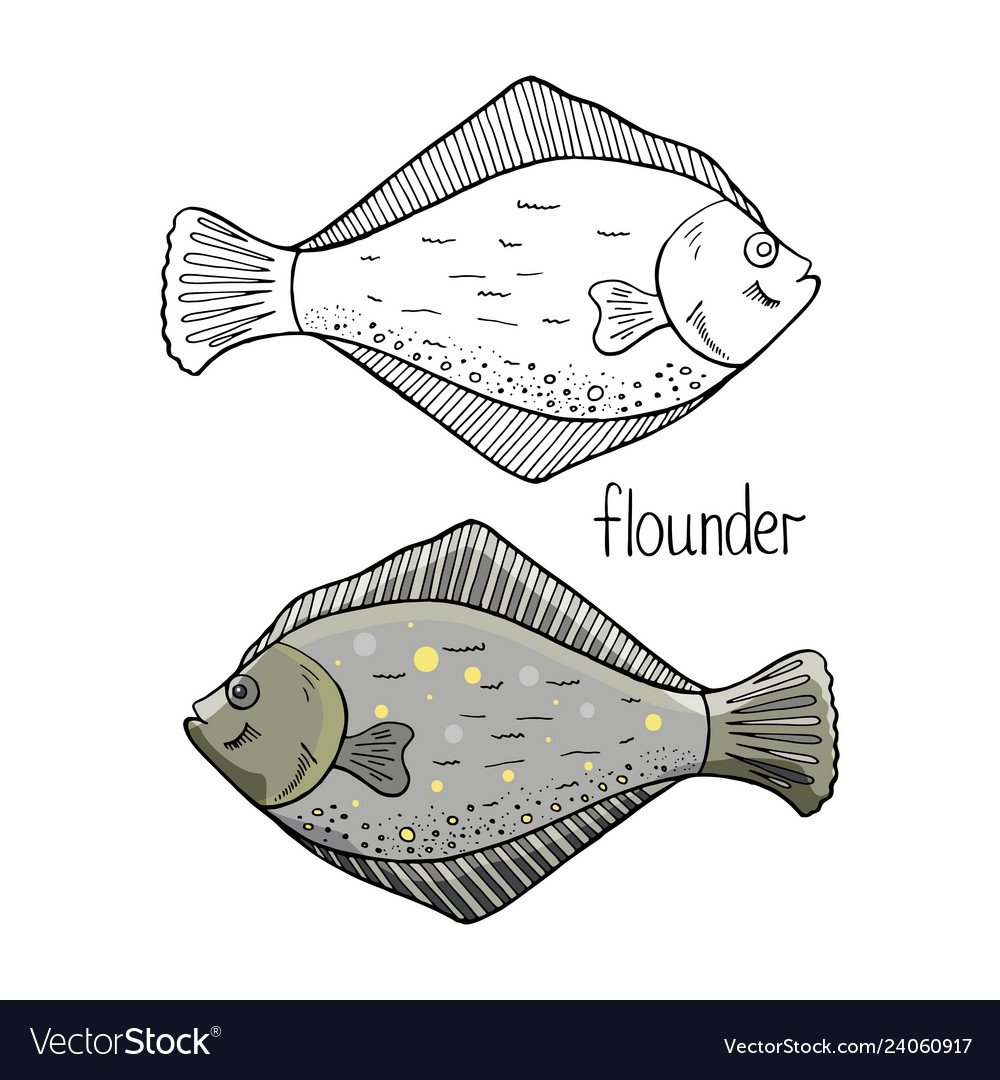 Стикер камбала