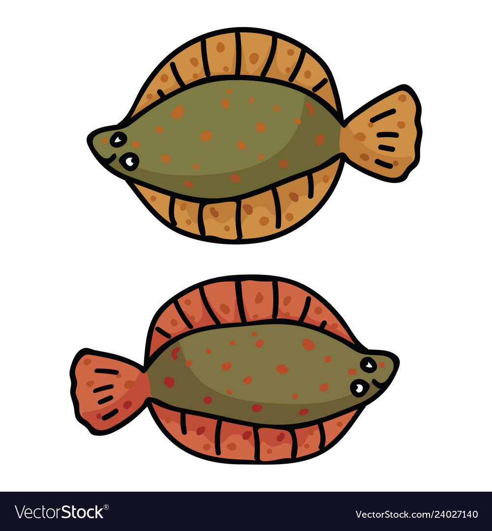 Рисунок камбала окунь рыбы 1 класс окружающий мир