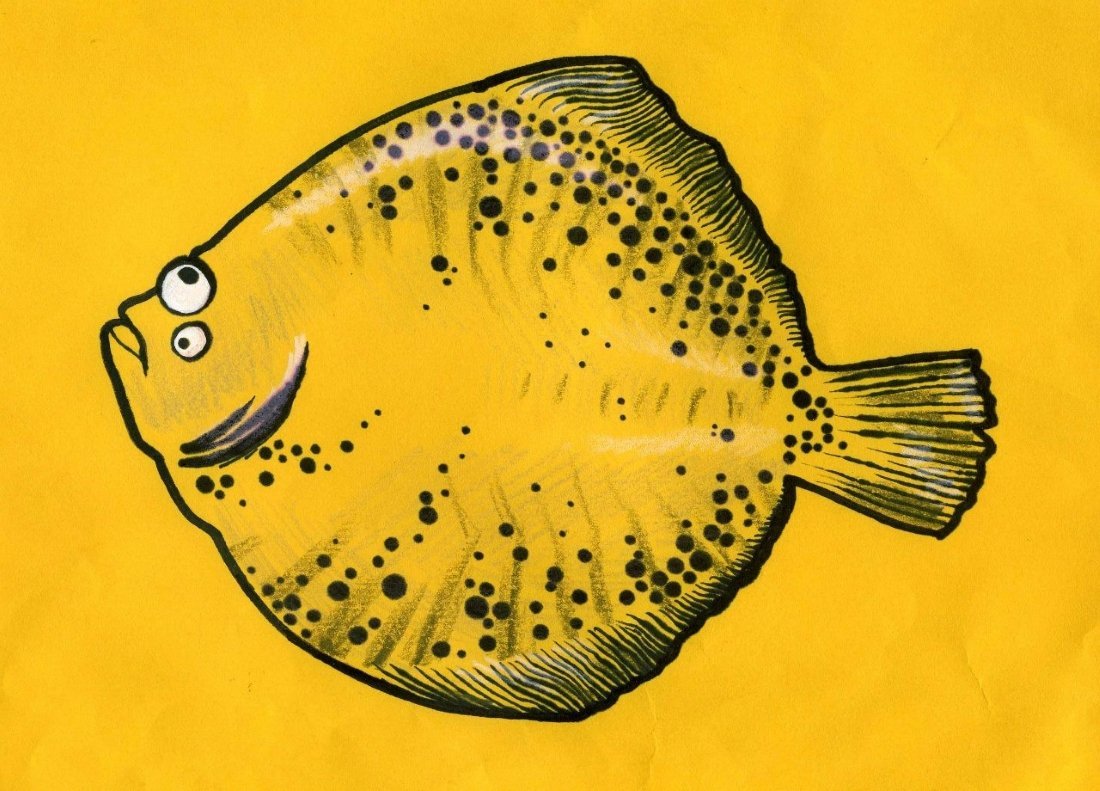 Камбала Графика