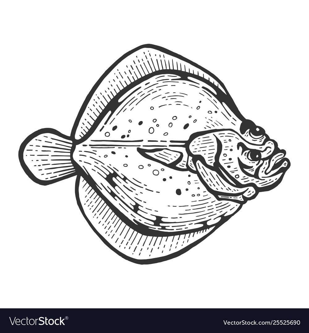 Симметрия камбалы