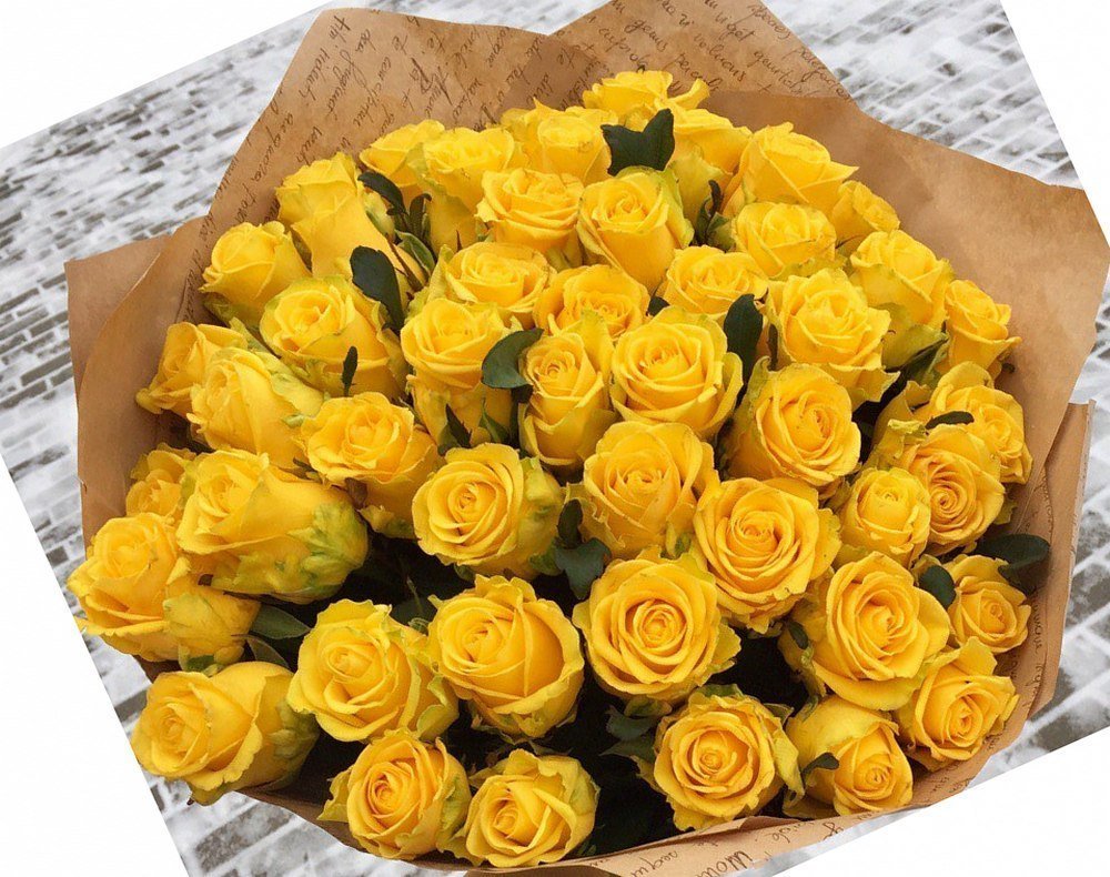 Самые красивые желтые цветы