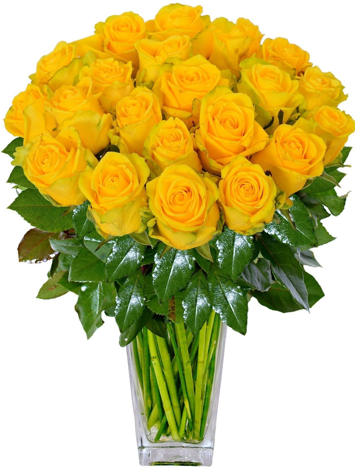 Фловерс желтые розы букет