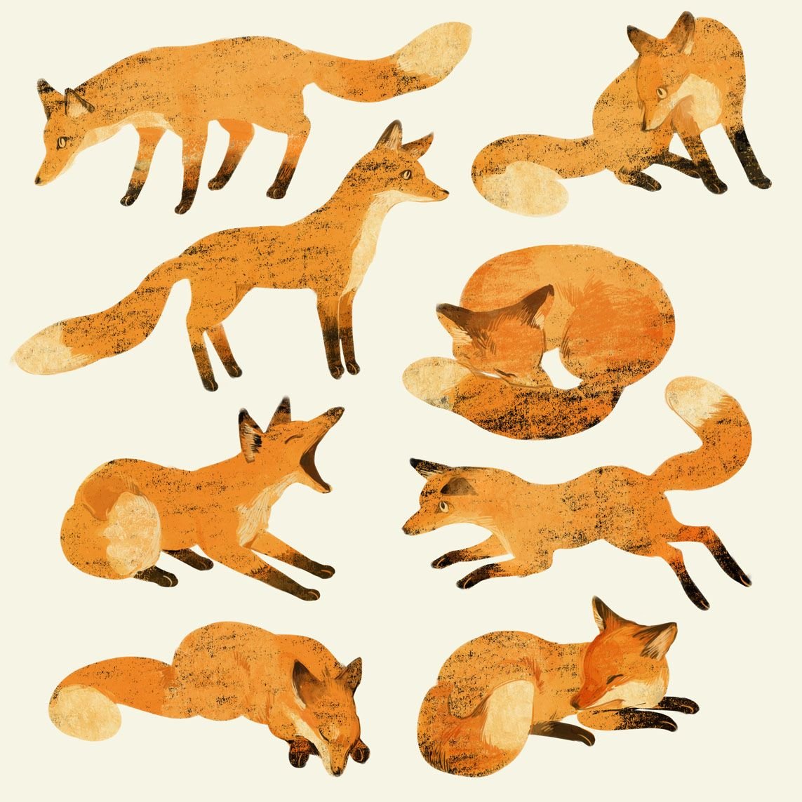 Медвежонок иллюстрация