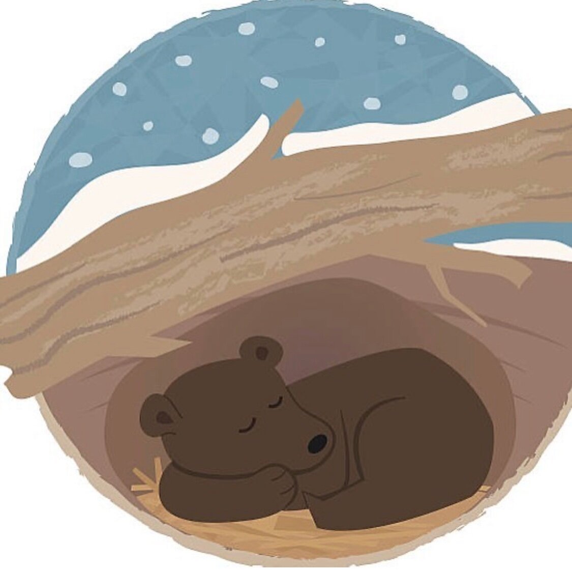 Медведь акварелью