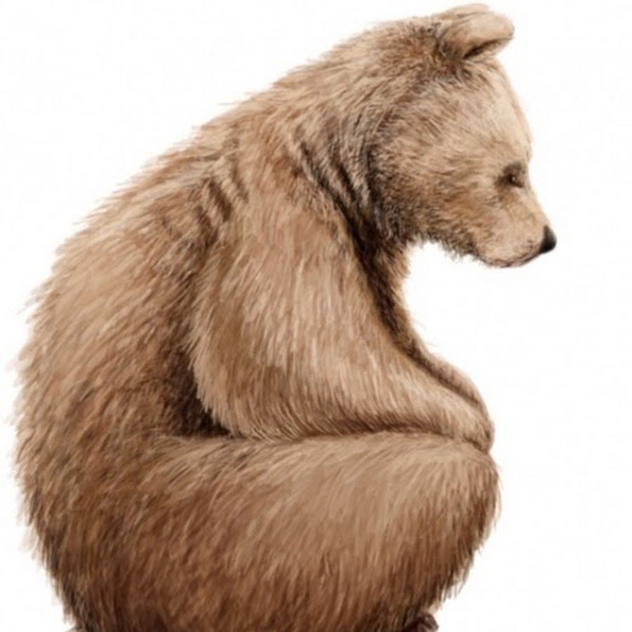 Найди хвост животных игра для детей