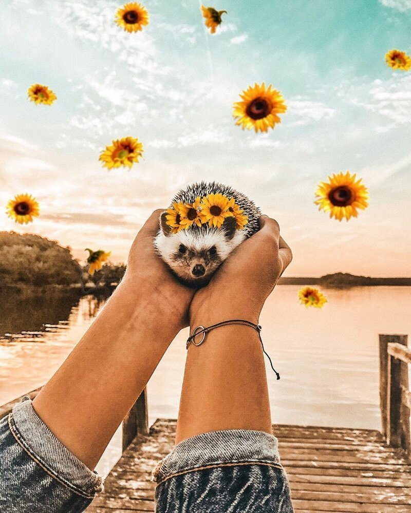 Классные фоточки для инстаграма