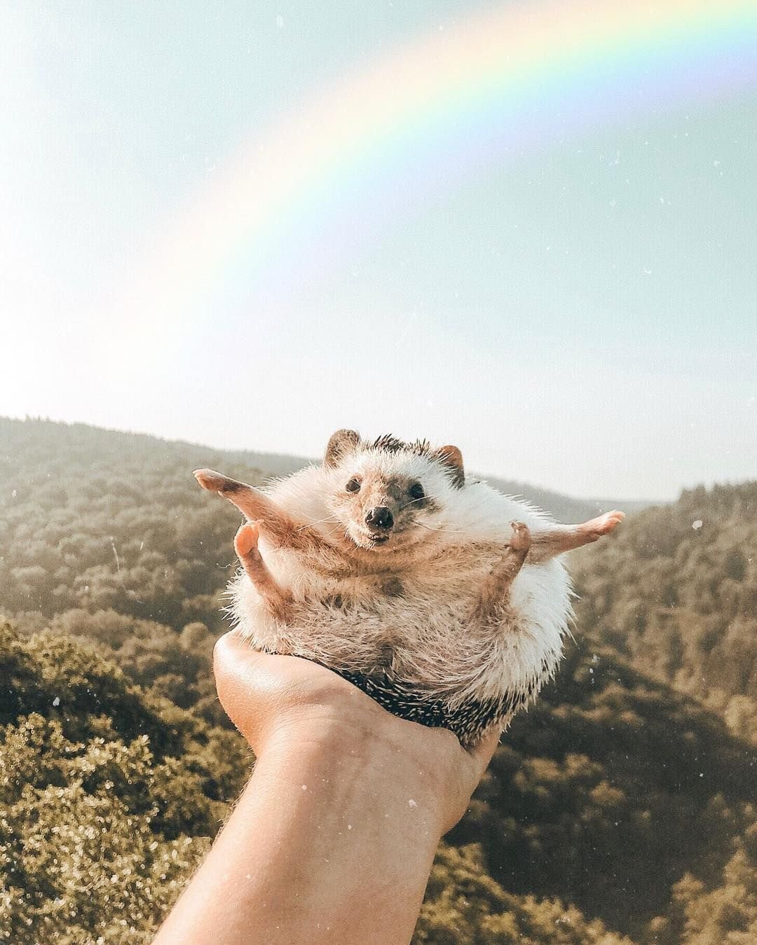 Необычные фотосессии на пляже