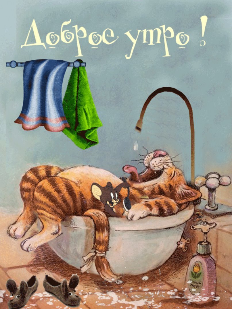 Ленивый котик