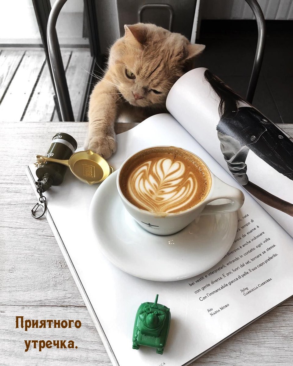 Кот и кофе