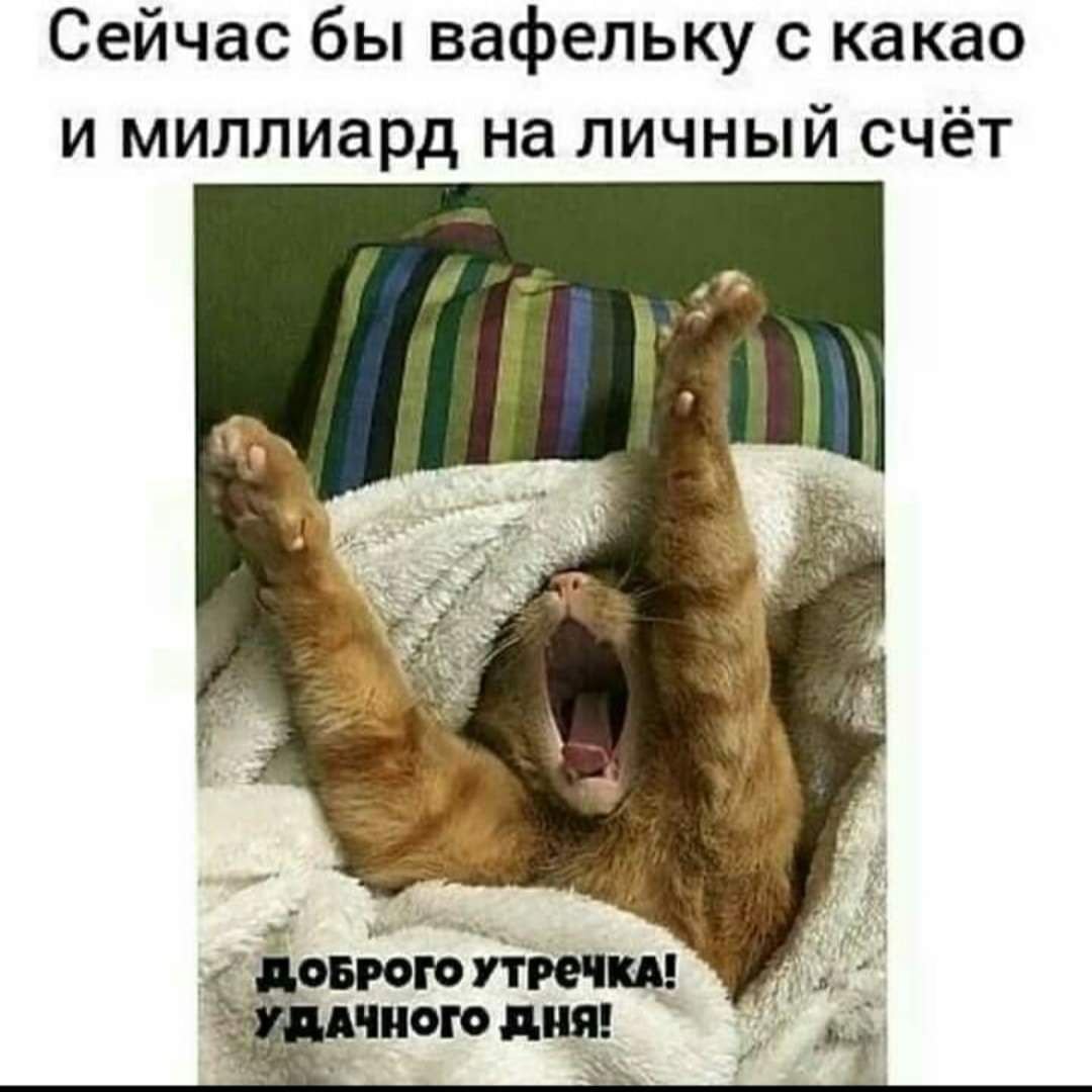 Люблю я поутру проснуться покинуть теплую кровать