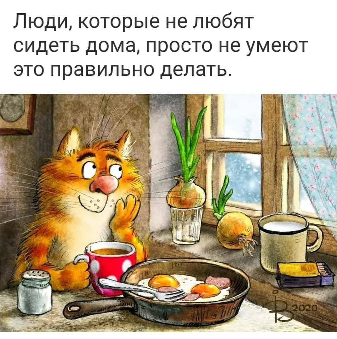 Котик пьет кофе