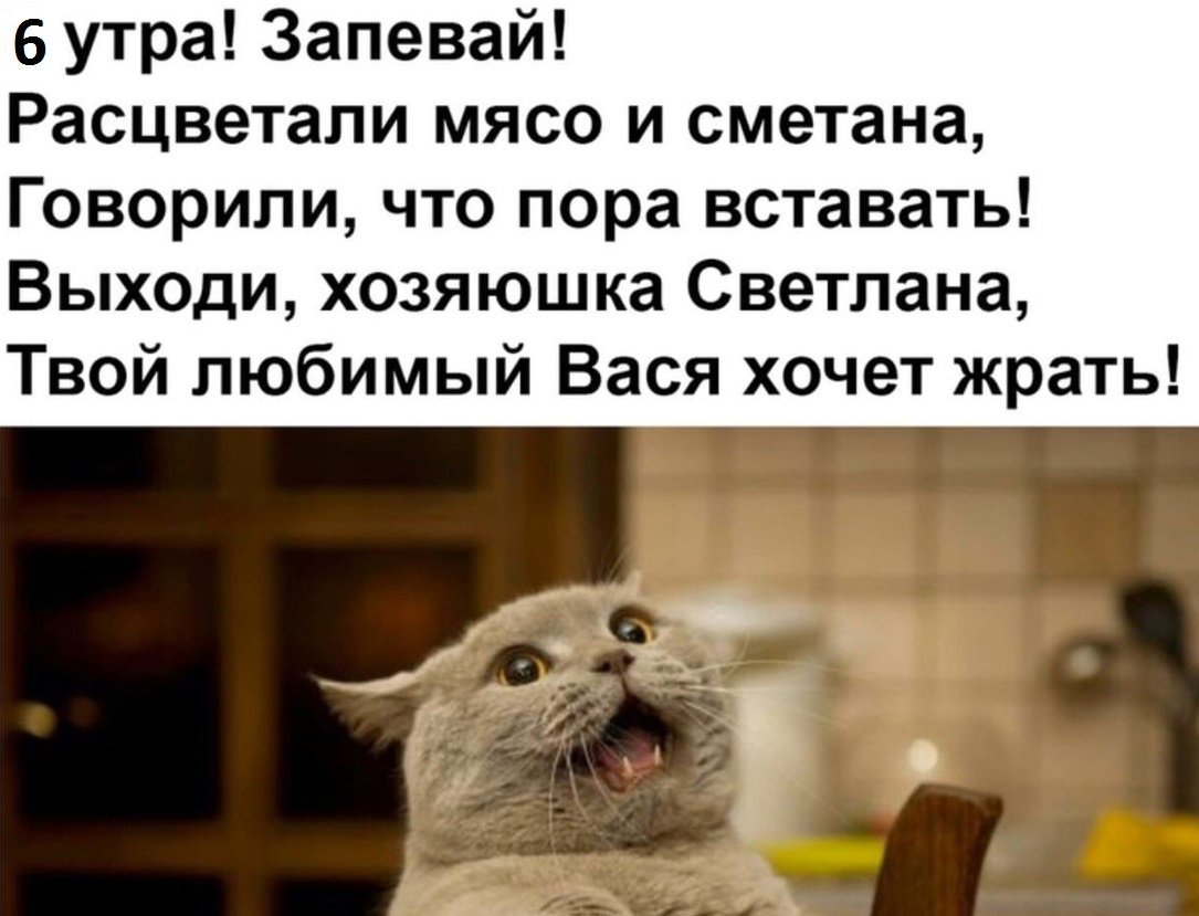 Рыжий кот на кровати