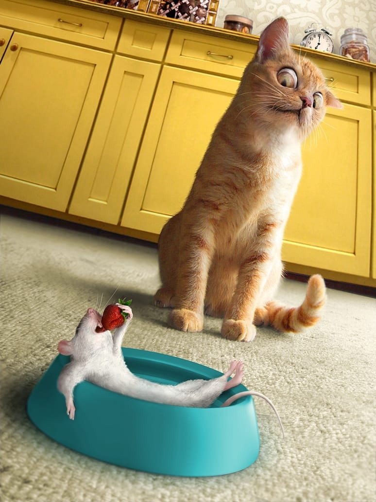 Душевные и уютные иллюстрации