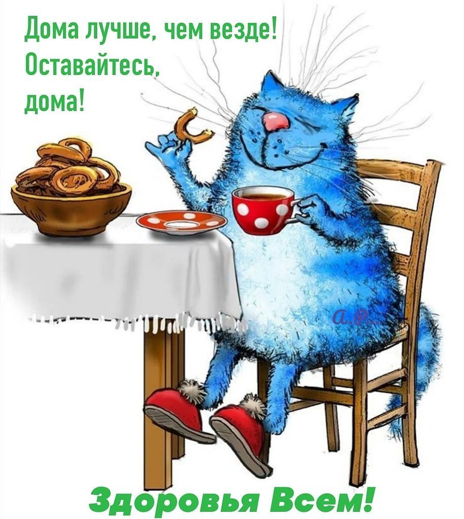 Доброе кошачье утро картинки юмор