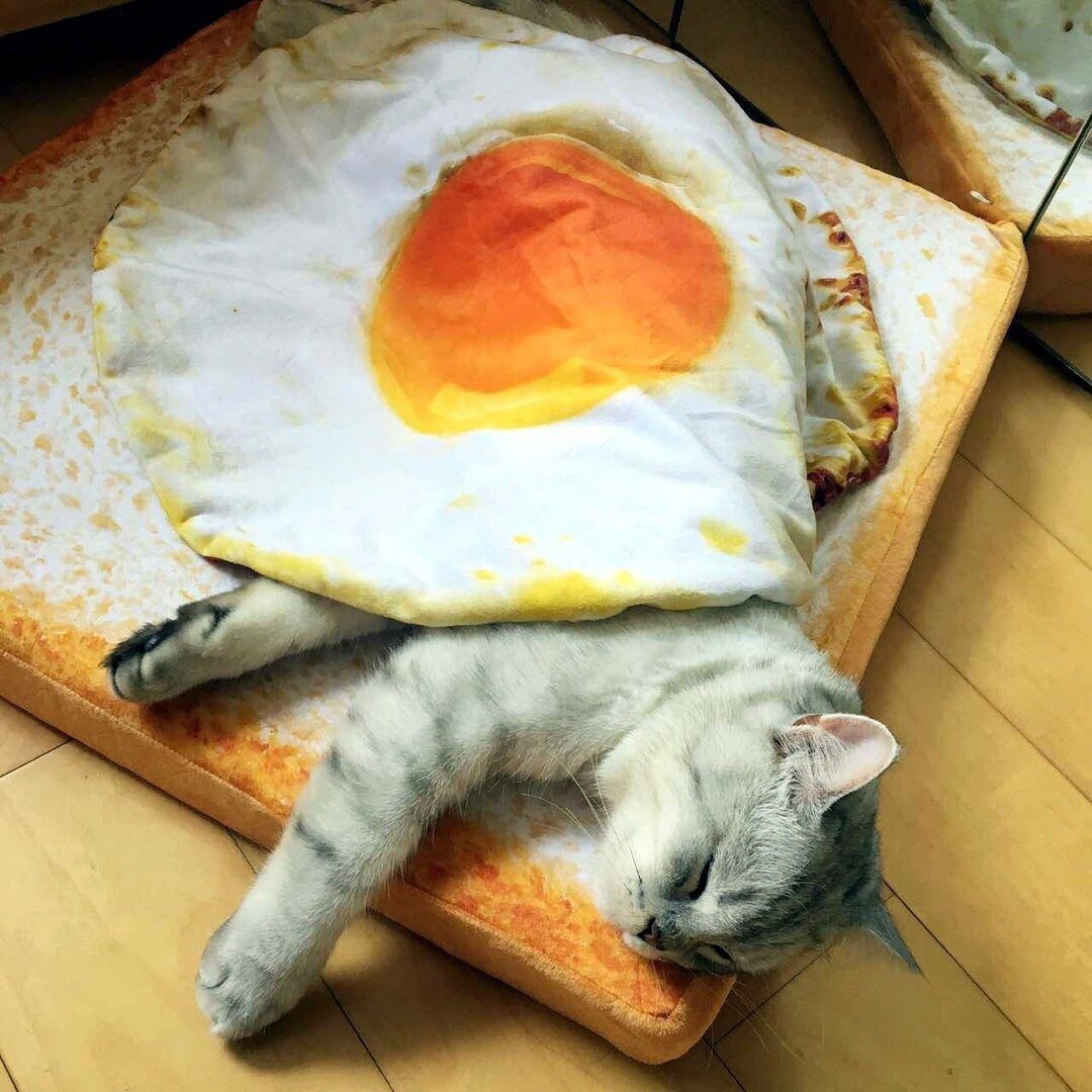 5 Утра запевай Расцветали мясо и сметана