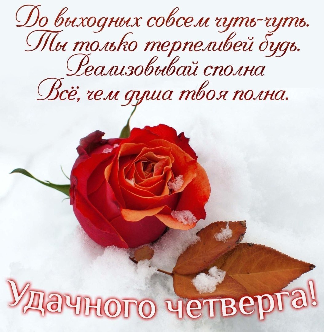 Красивые зимние поздравления с добрым утром