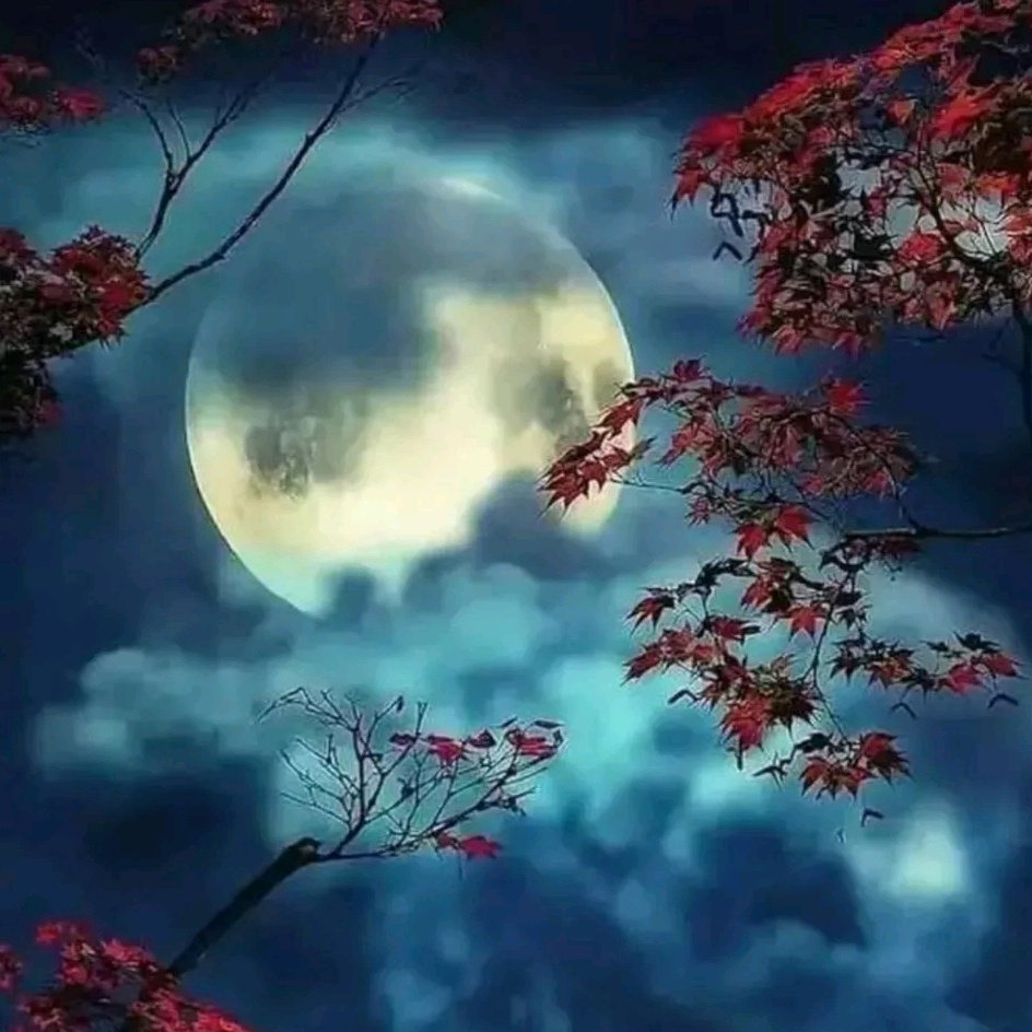 Картина спокойной ночи с природой