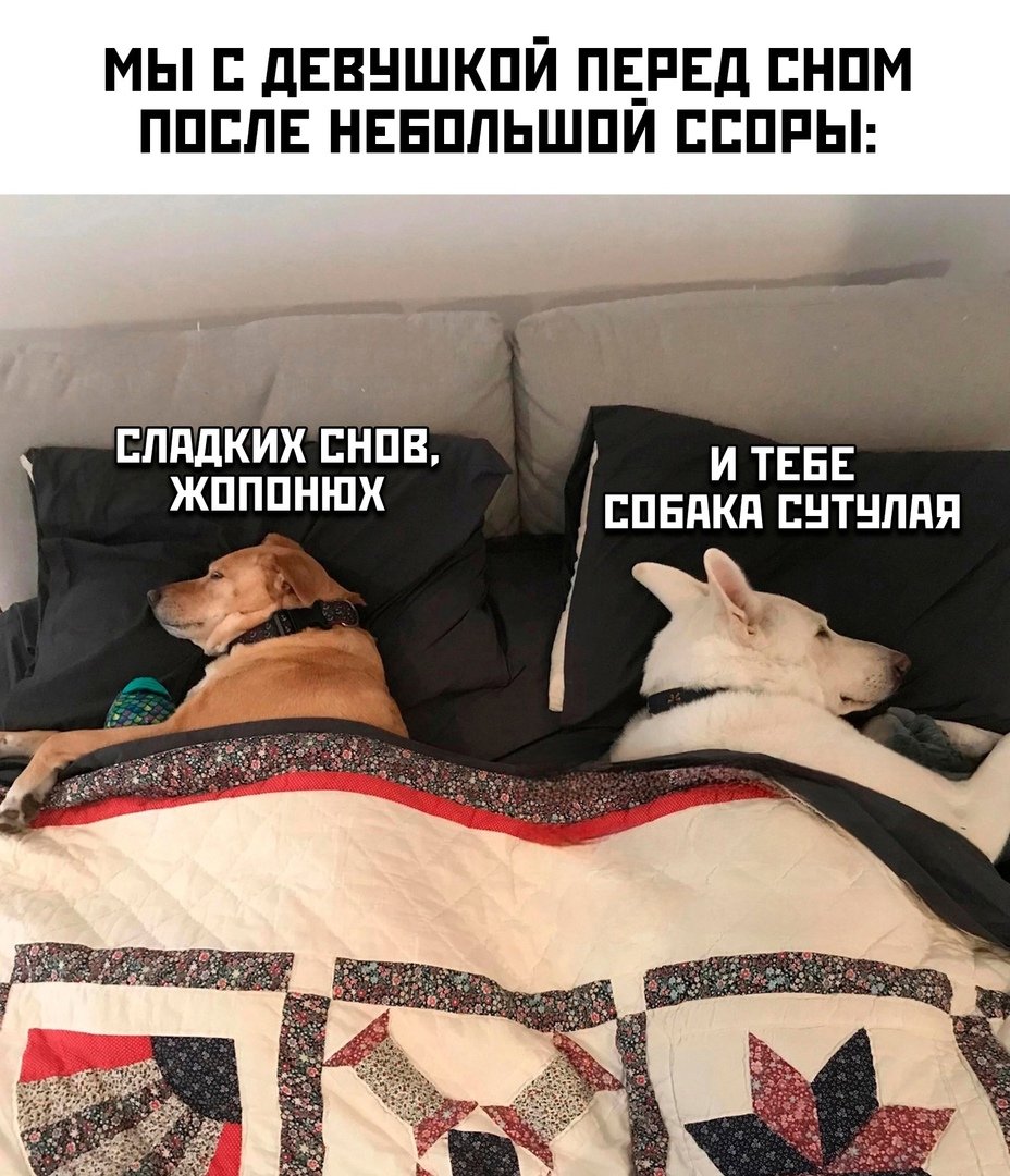Спокойной ночи котик