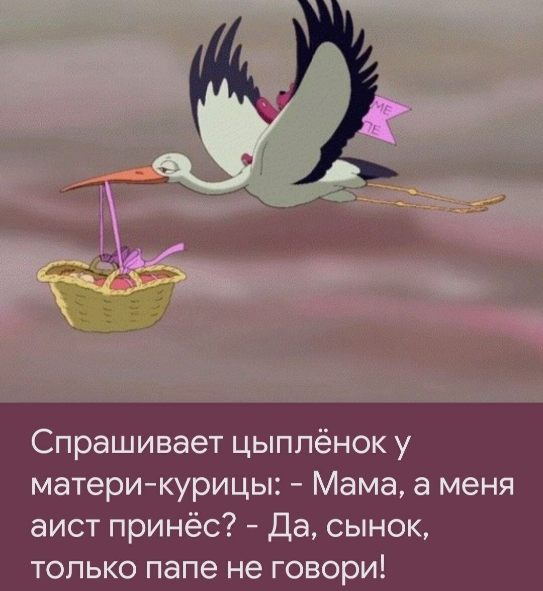 Аист с двойней