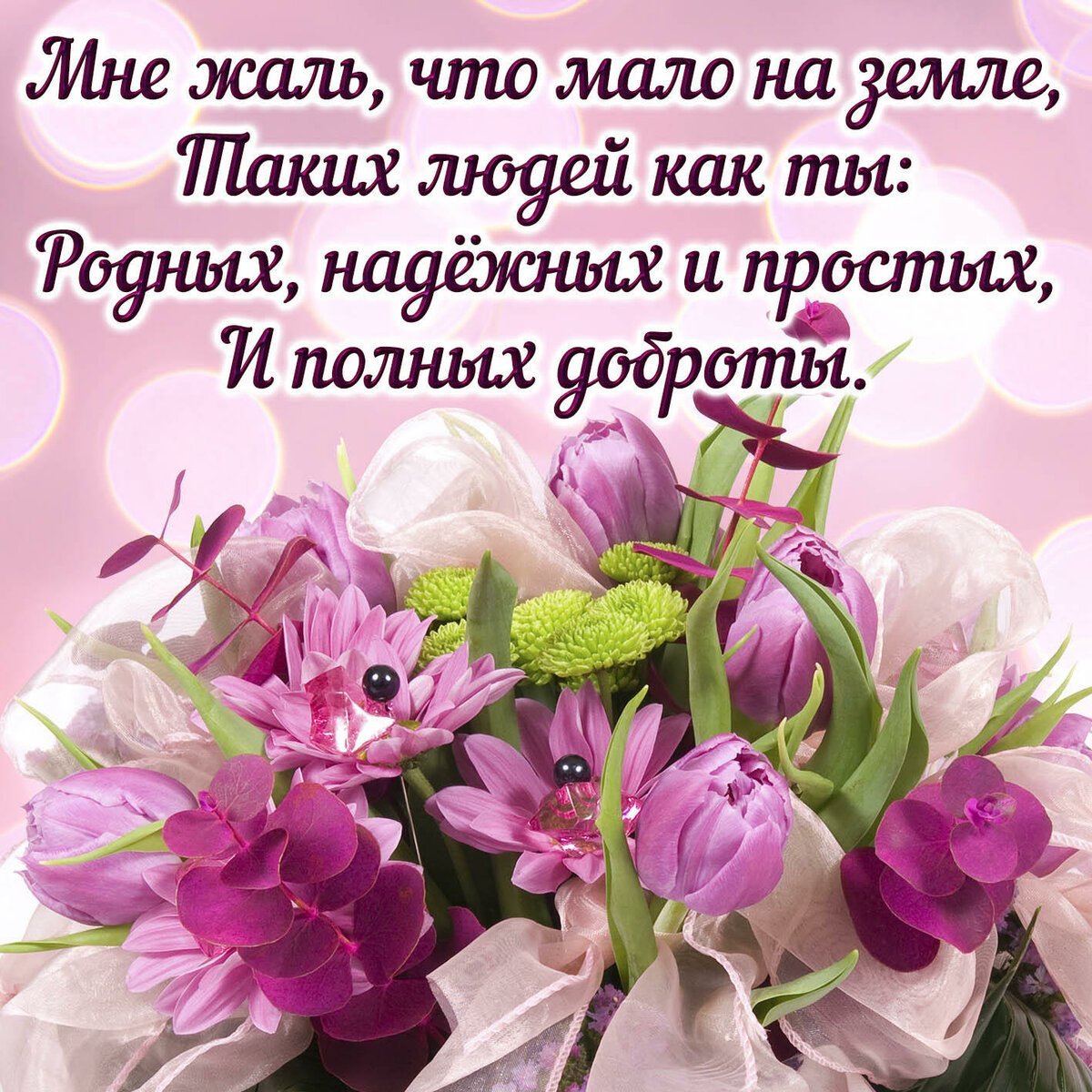 Аткрытка. Красивой девушке