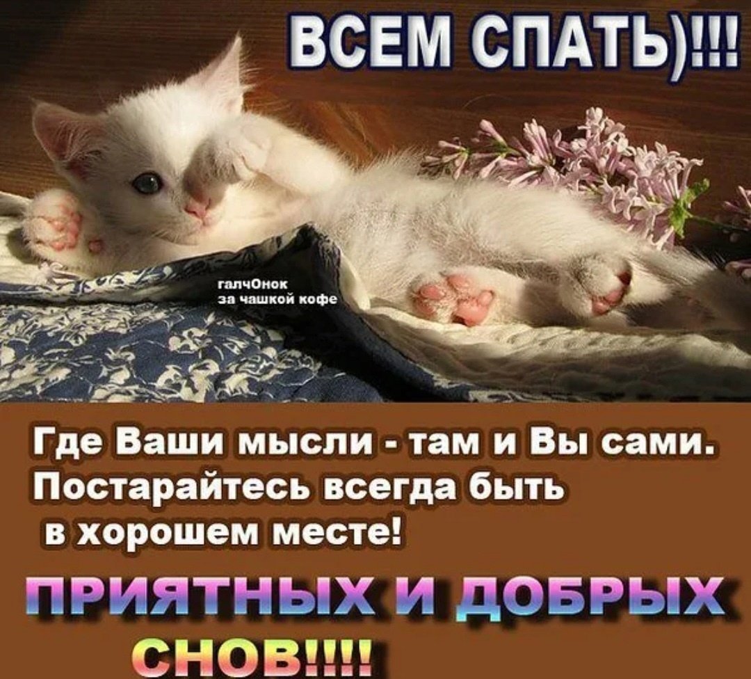 Пожелания на ночь