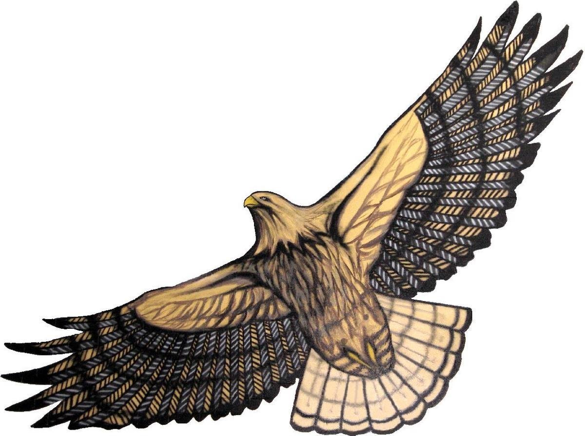 Финист Ясный Сокол иллюстрации к сказке