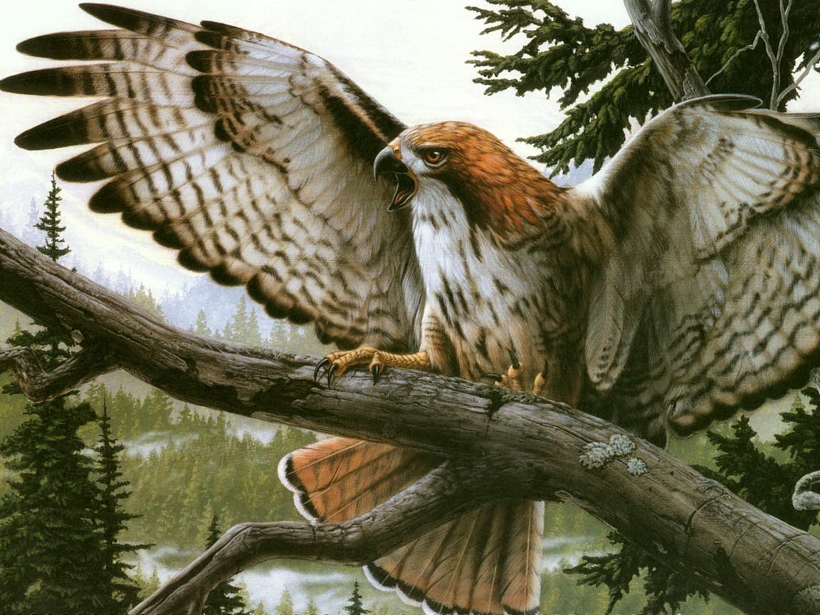 Иван Муромец и Финист Ясный Сокол