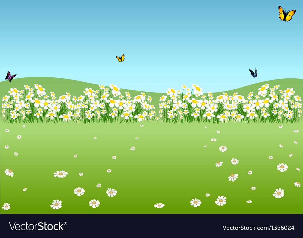 Поляна для мультика с бабочкой