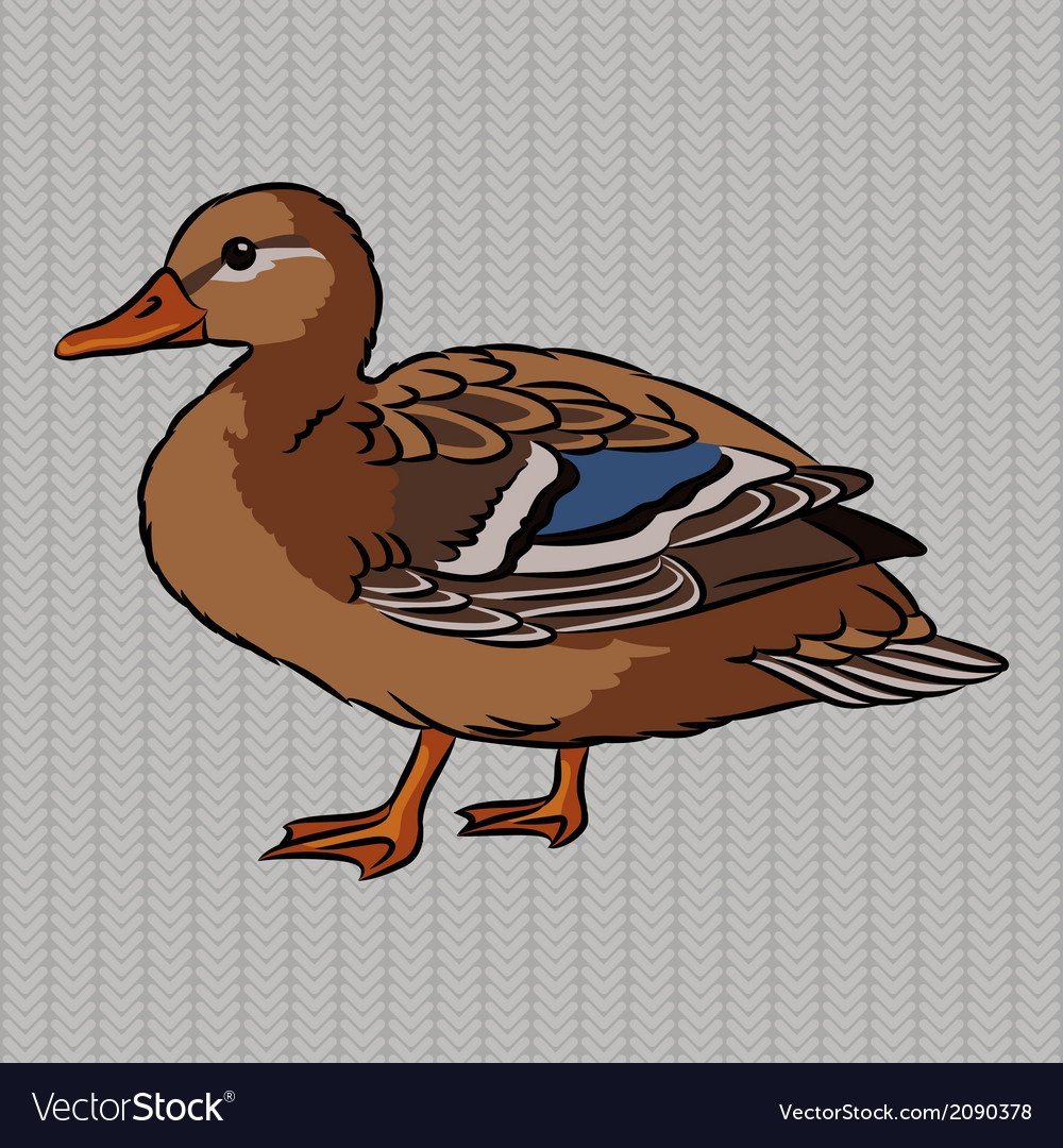 Утка вид сбоку