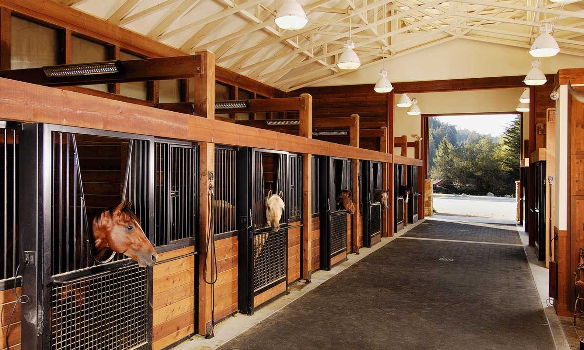 Конюшня Грин Хорс Симферопольское шоссе