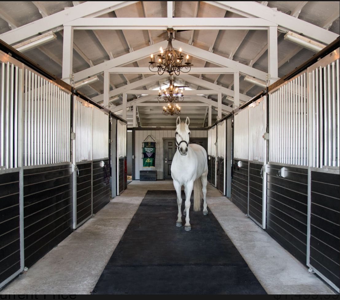 Конюшня Грин Хорс Семеновское