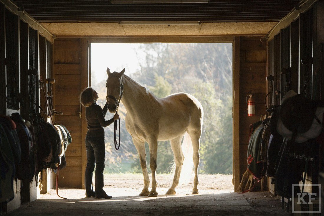 Монруж Франция конюшни