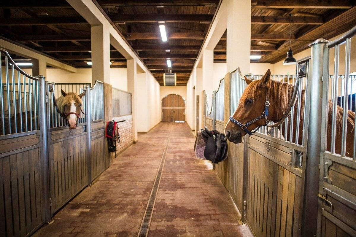 Конная ферма «лошади Дзержинский»