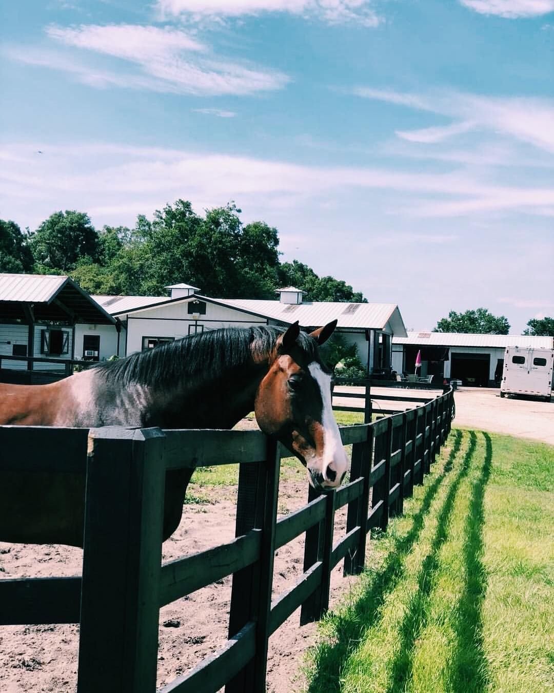 Красивые конюшни