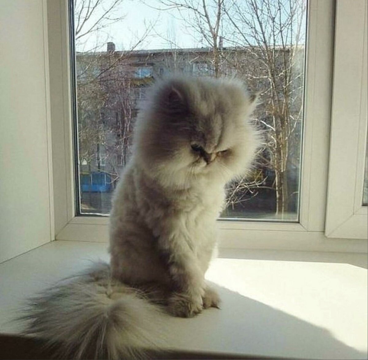 Ужасное настроение