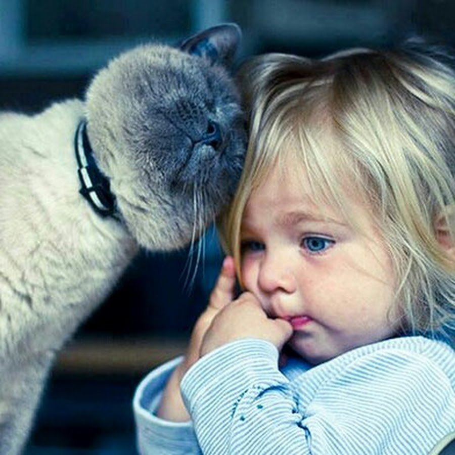 Ребенок обнимает кота