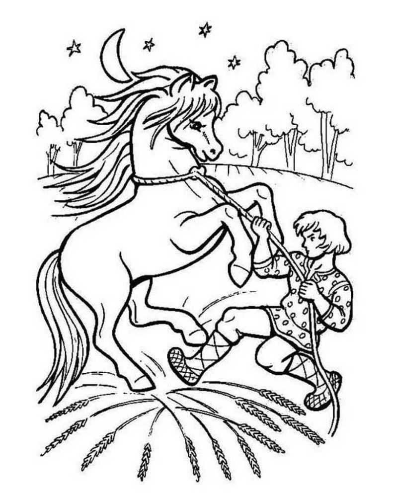 Сказка Сивка-бурка