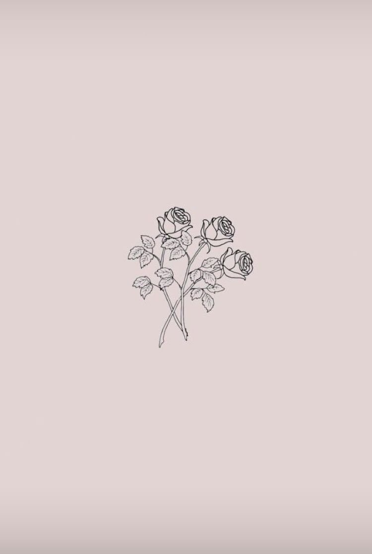 Одноцветные фоны для актуальных