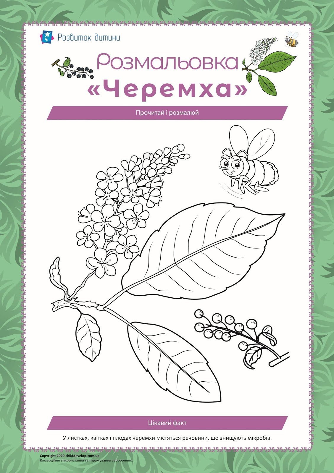 Обучающие карточки. Деревья.