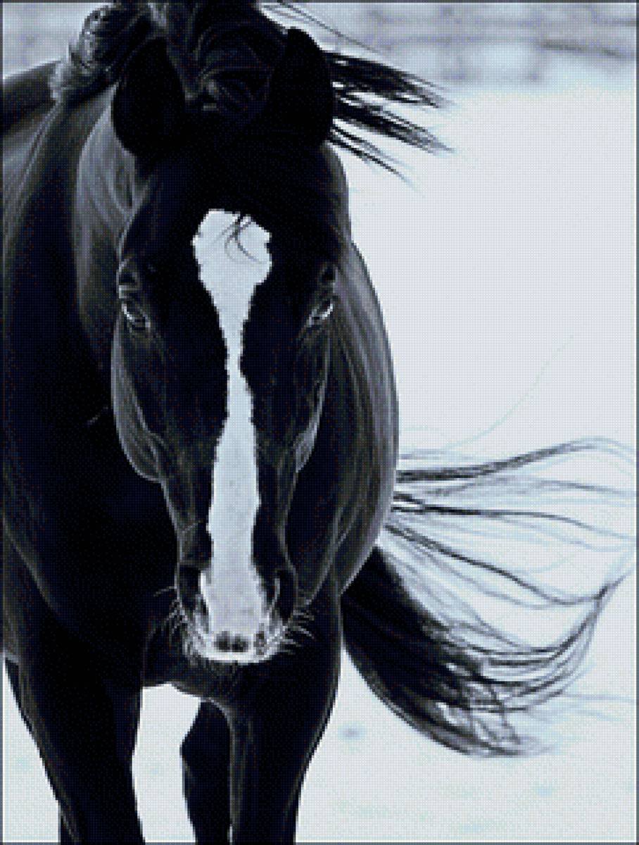 Аватарки с лошадьми