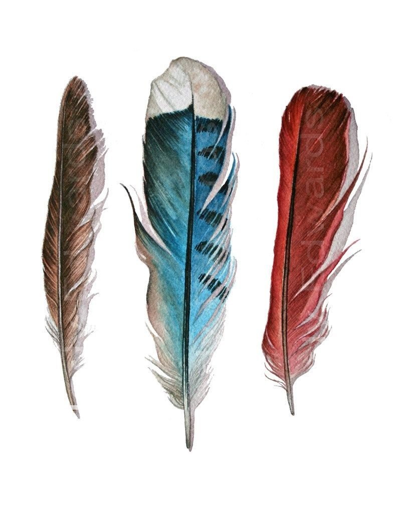 Красивое перо