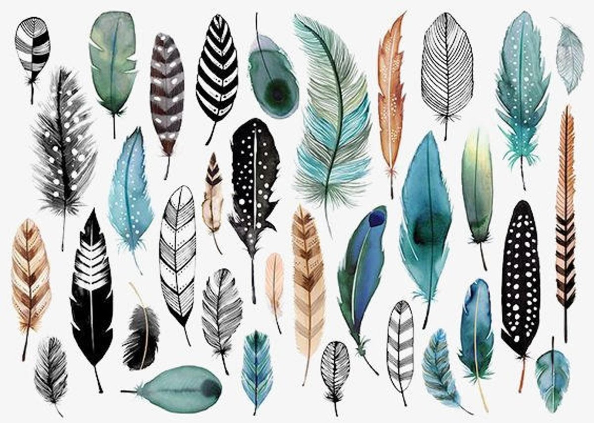 Ирис Pheasant Feathers