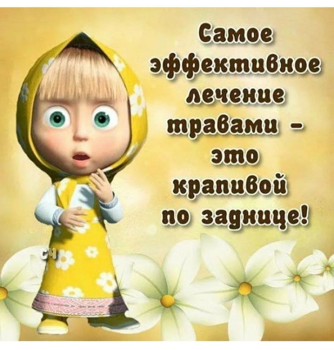 Маша и медведь приколы