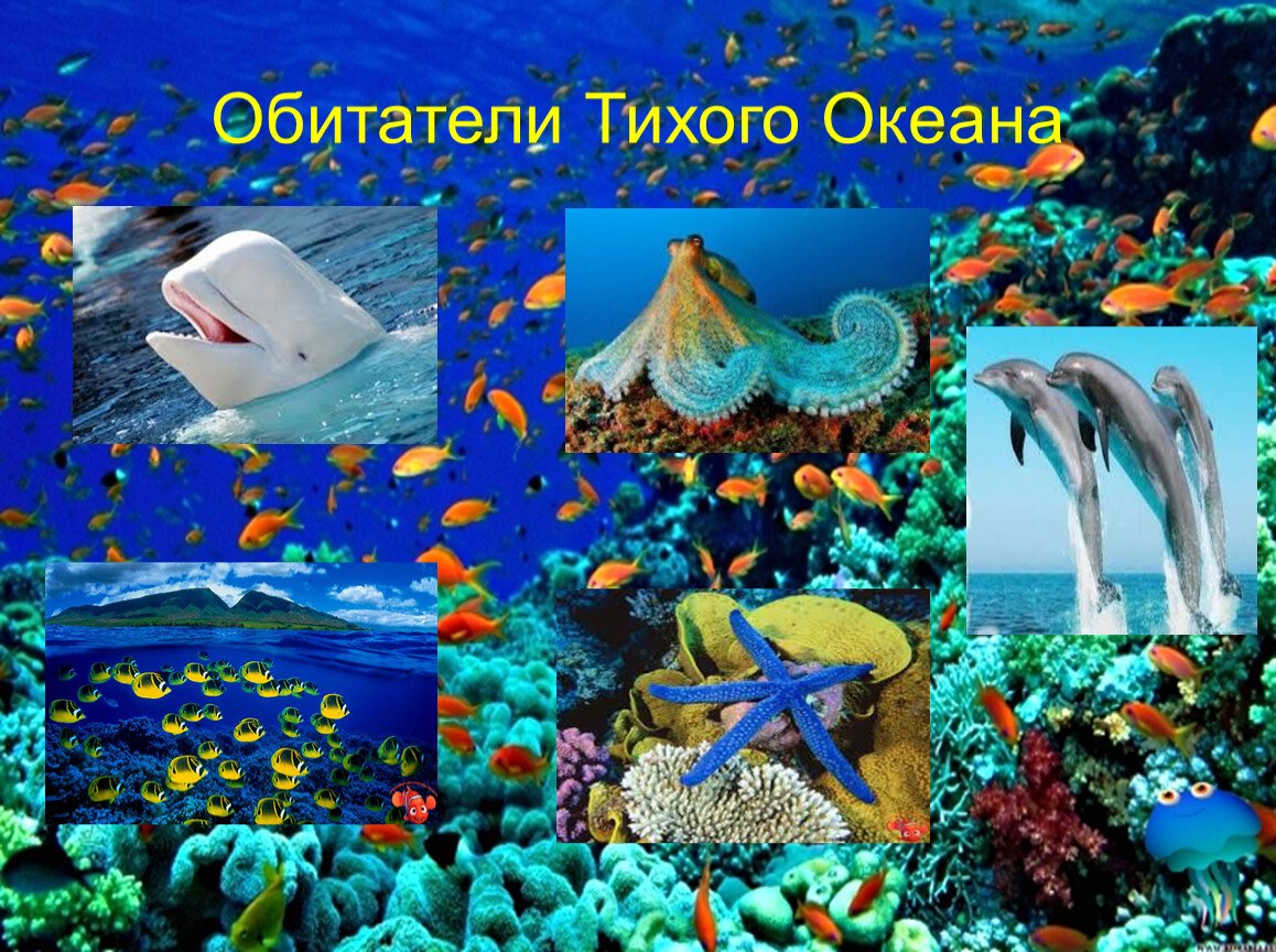 Морские волны анимация